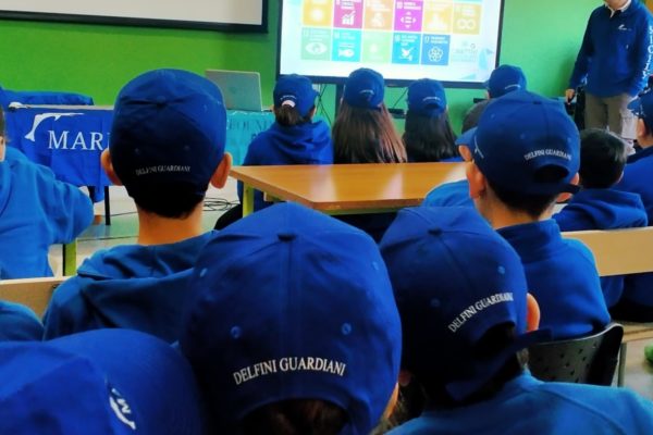 IMG 20250211 WA0032 IMG 20250211 WA0032