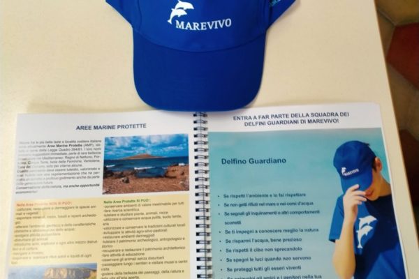 IMG 20250211 WA0035 IMG 20250211 WA0035