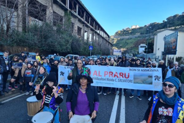 PHOTO 2024 12 15 15 48 51 3 PHOTO 2024 12 15 15 48 51 3