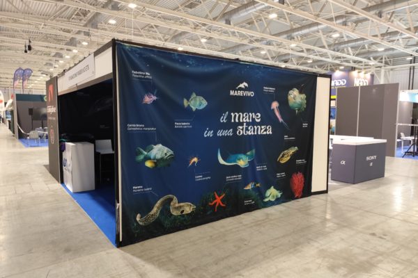 PHOTO 2025 02 20 20 15 51 (1)