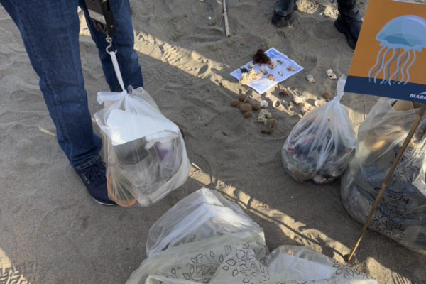 Adotta Una Spiaggia Ladispoli (1) Adotta Una Spiaggia Ladispoli (1)