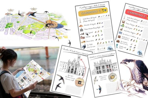 Pellegrinaggio Pellegrinaggio