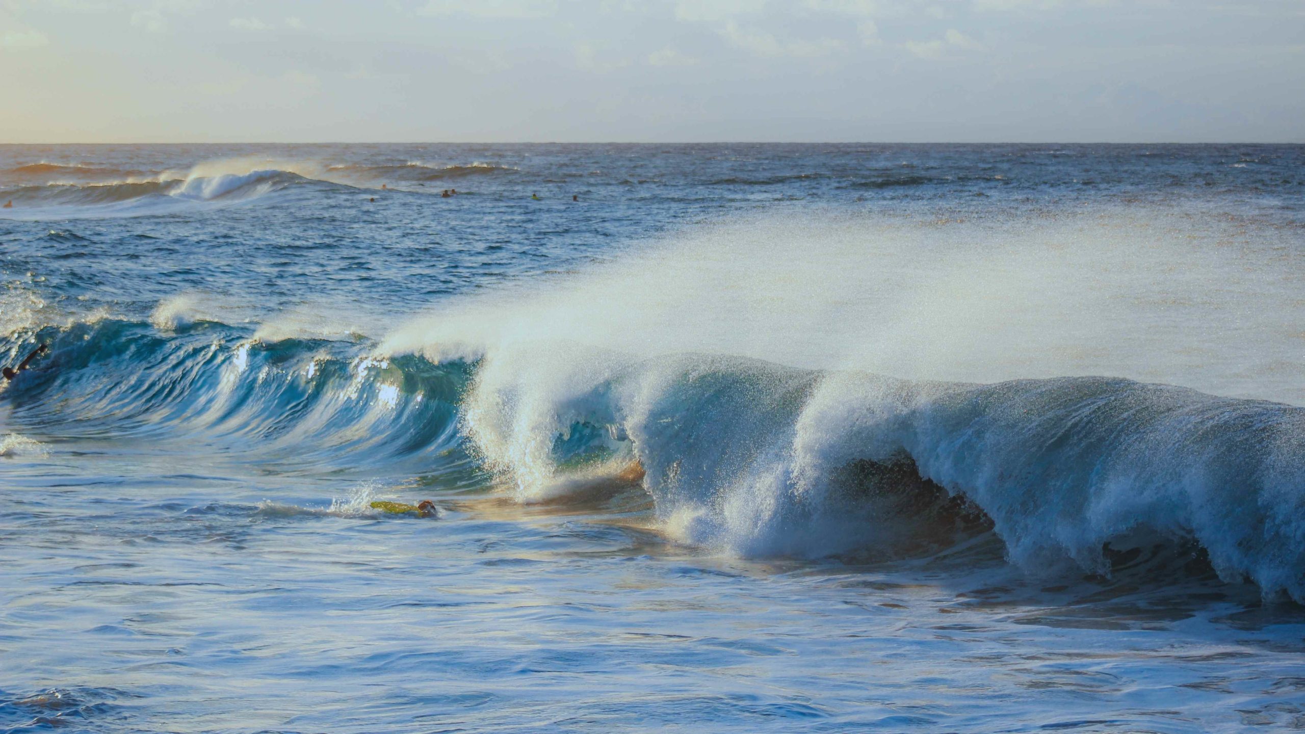 Earth Day 2025: la vita sul pianeta Terra dipende dal mare