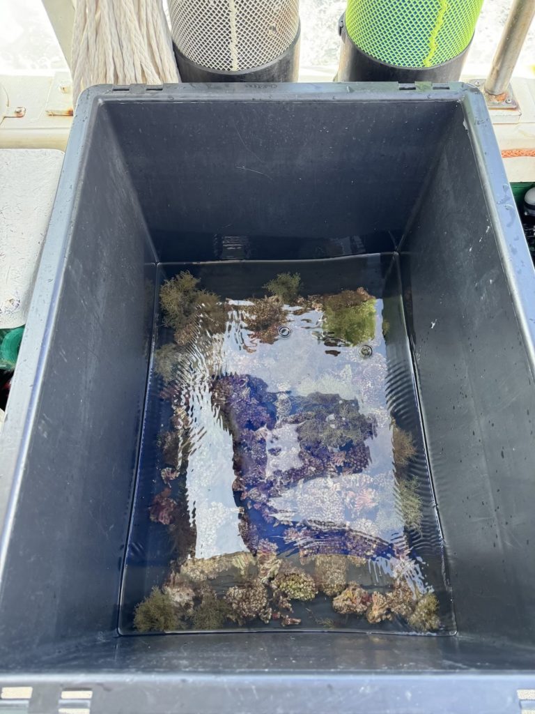 MCGUT_Rest11.24_SURF©JSferlazzo04