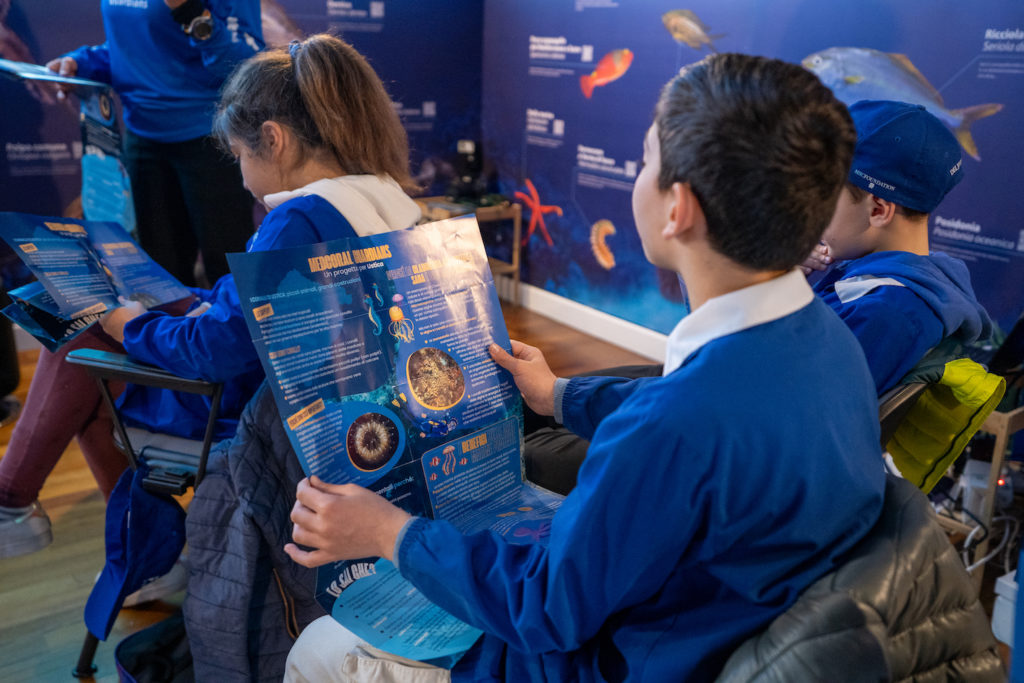 MedCoral_Guardians 2