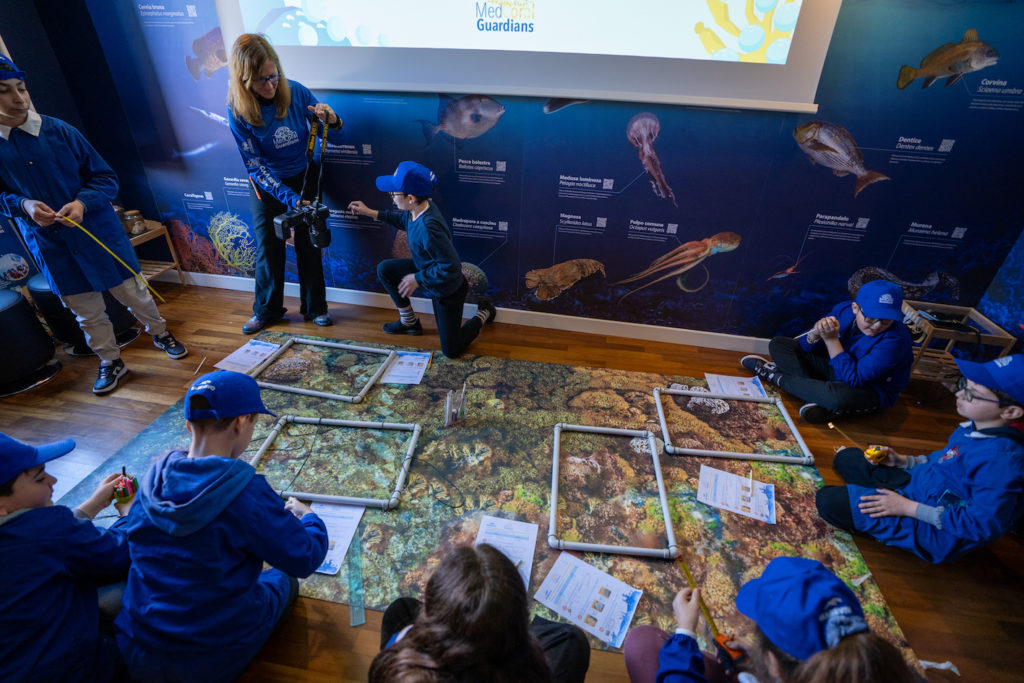 MedCoral_Guardians 26