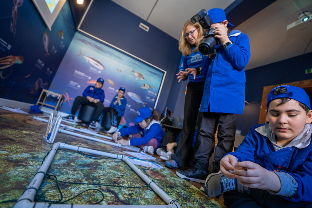 MedCoral_Guardians 33