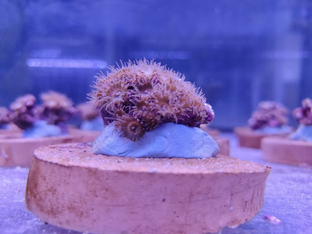 PHOTO-2025-03-25-09-54-28