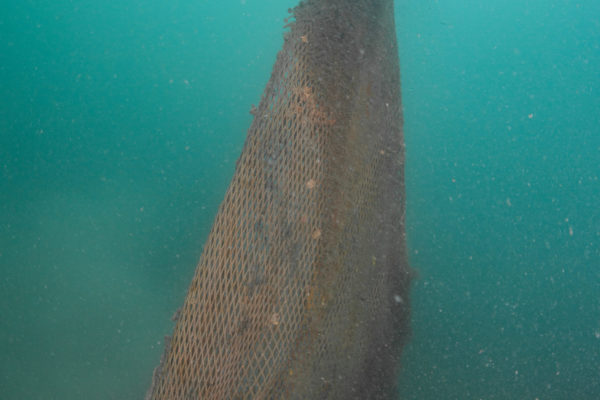 Recupero Rete Caorle 3 Recupero Rete Caorle 3