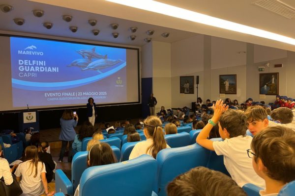 EVENTO CONCLUSIVO DELFINI GUARDIANI CAPRI 4 (2) EVENTO CONCLUSIVO DELFINI GUARDIANI CAPRI 4 (2)