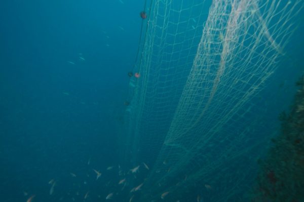 FOTO GHOST NETS 12 FOTO GHOST NETS 12