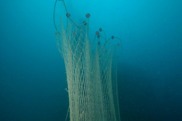 FOTO GHOST NETS 14 FOTO GHOST NETS 14