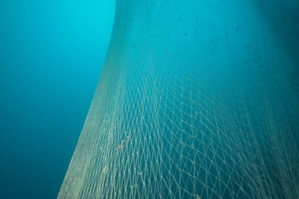 FOTO GHOST NETS 15 FOTO GHOST NETS 15