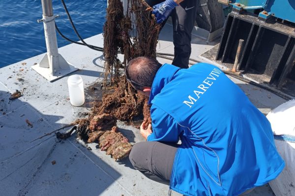 FOTO GHOST NETS 19 FOTO GHOST NETS 19