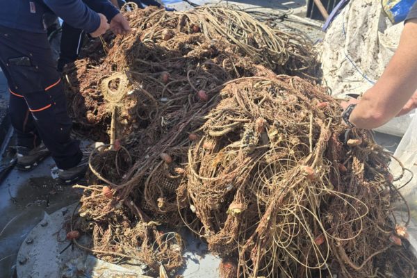 FOTO GHOST NETS 20 FOTO GHOST NETS 20