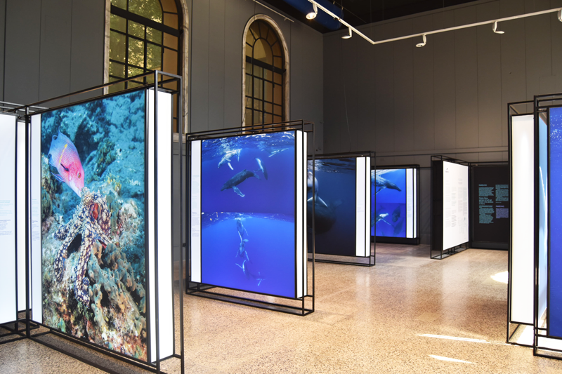 WhatsApp Image 2025 05 12 At 15.14.52 (2)