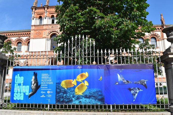 WhatsApp Image 2025 05 12 At 15.15.18 2