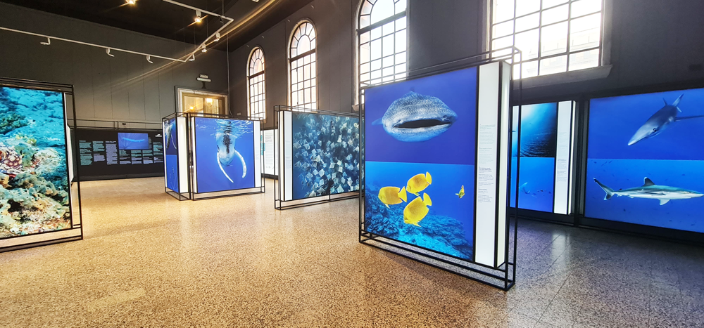 WhatsApp Image 2025 05 12 At 15.15.53 (3)