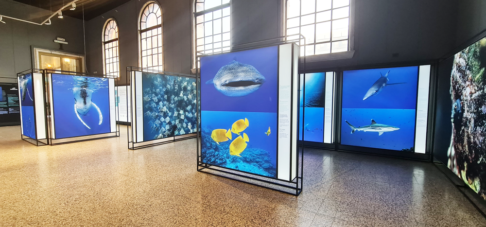 WhatsApp Image 2025 05 12 At 15.15.53