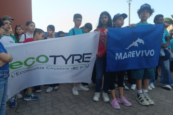 1000228206 1000228206