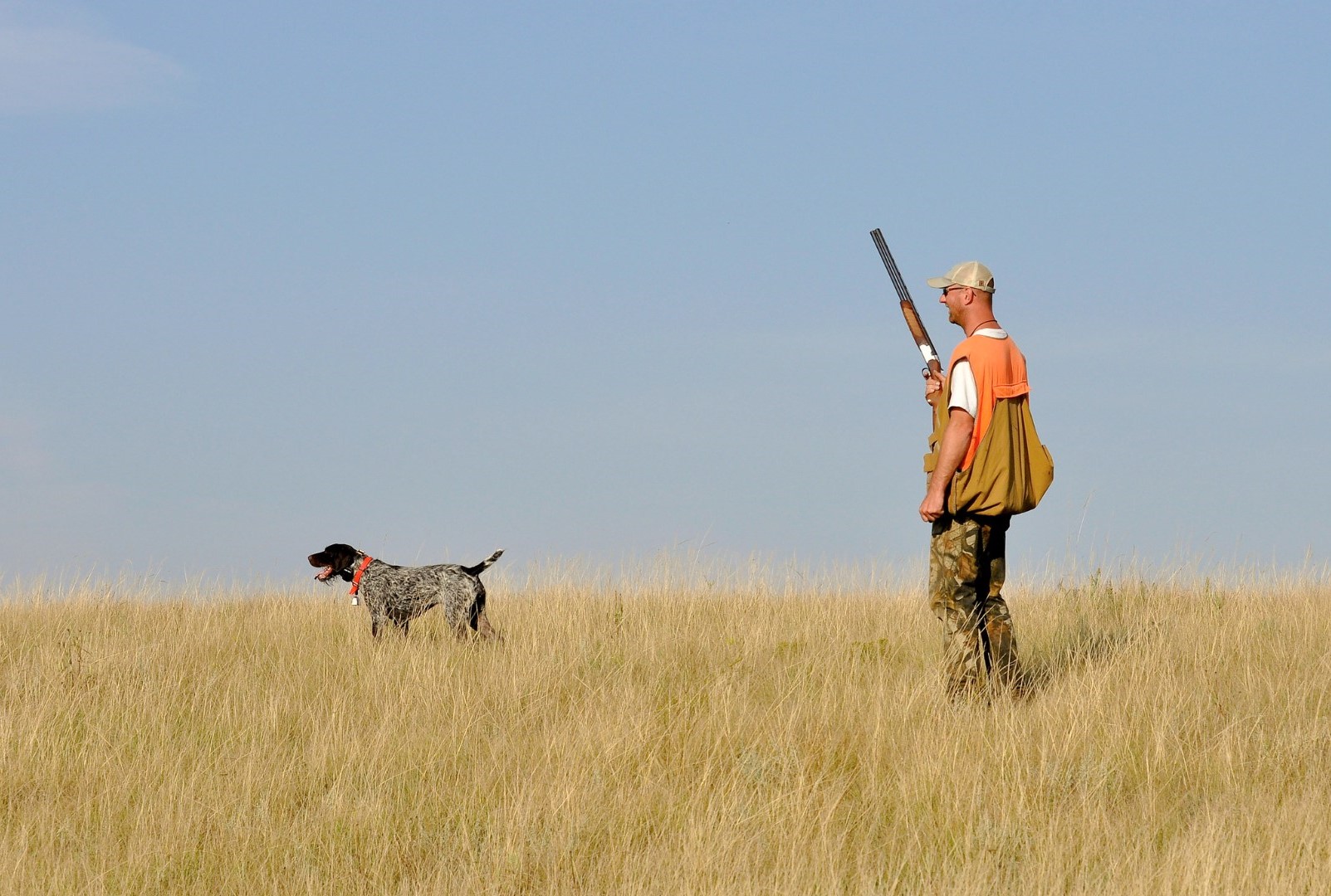 Ddl Caccia: il mondo animalista, ambientalista, scientifico ed economico scrive a Pichetto Fratin e Lollobrigida