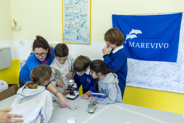 Delfini Guardiani 7 Delfini Guardiani 7