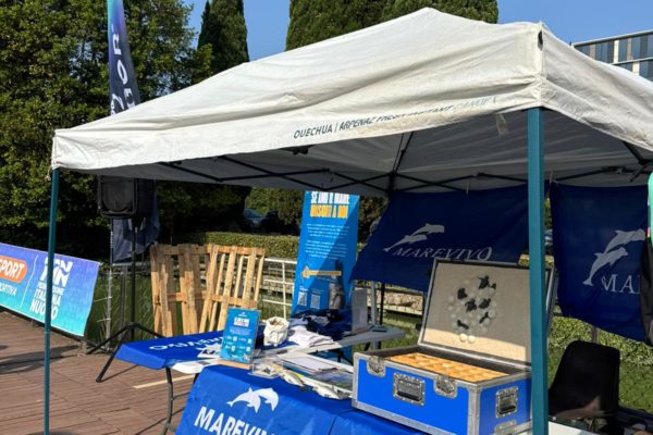 IMG 20250614 WA0000 IMG 20250614 WA0000