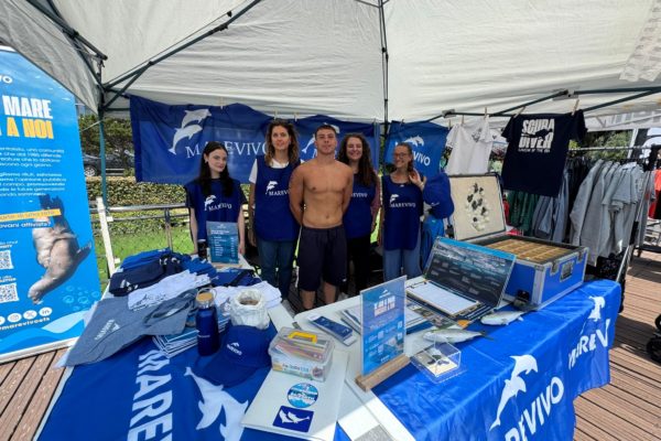 IMG 20250614 WA0013 IMG 20250614 WA0013