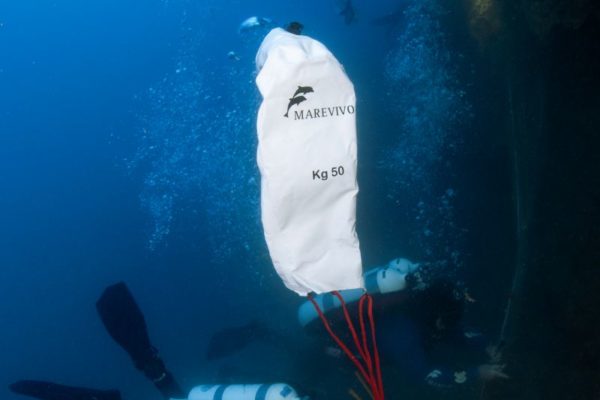 Marevivo Ph. Filippo Borghi 4 Marevivo Ph. Filippo Borghi 4