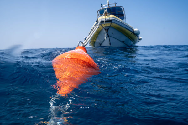 MedCoral Guardians Ustica Boe 3 MedCoral Guardians Ustica Boe 3