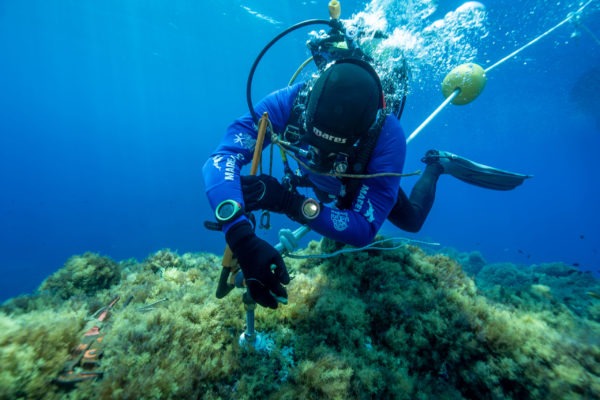 MedCoral Guardians Ustica Boe 5 MedCoral Guardians Ustica Boe 5