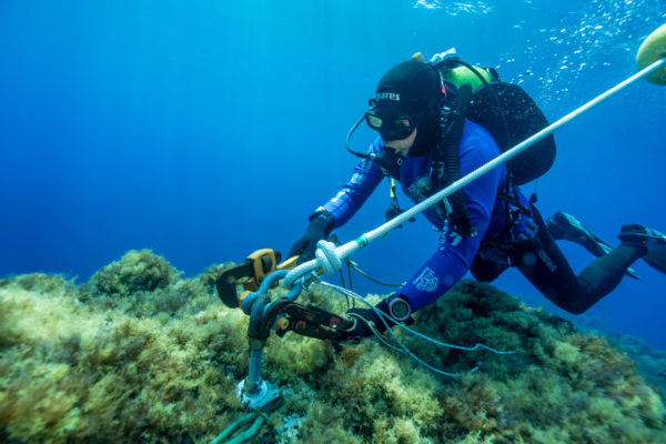 MedCoral Guardians Ustica Boe 6 MedCoral Guardians Ustica Boe 6