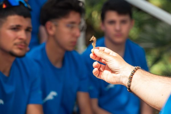 Nauticinblu 5 Nauticinblu 5