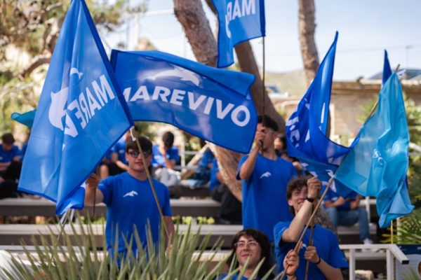 Nauticinblu 6 Nauticinblu 6