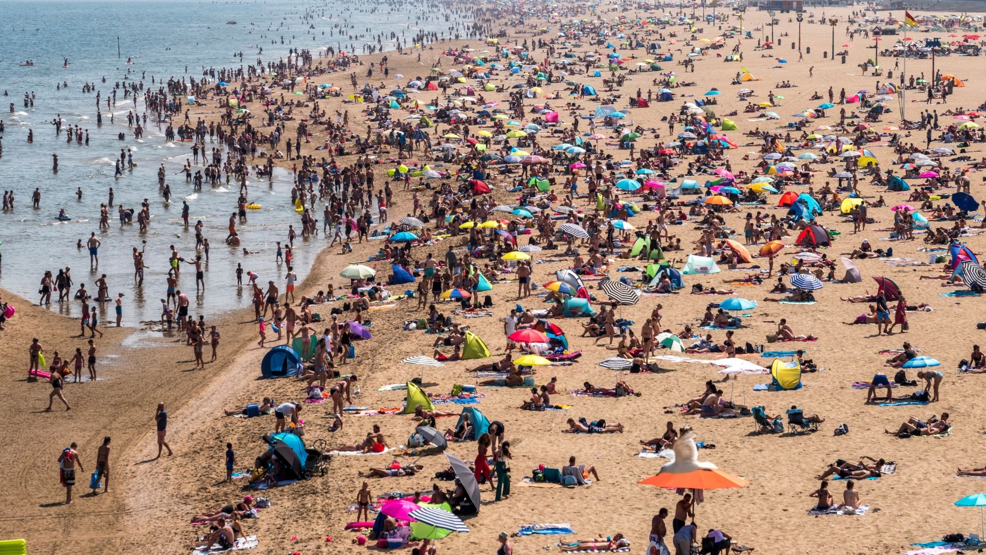 Località marine tra le prime vittime dell’overtourism: pesanti gli impatti sulla biodiversità del mare