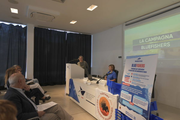 16. BLUEFISHERS Conferenza Stampa Marina Di Carrara