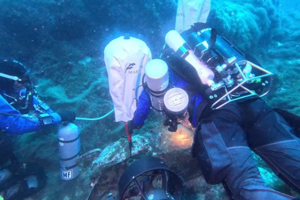 Copia Di Mare Mio Gin Mare Capri 2025 42 Copia Di Mare Mio Gin Mare Capri 2025 42