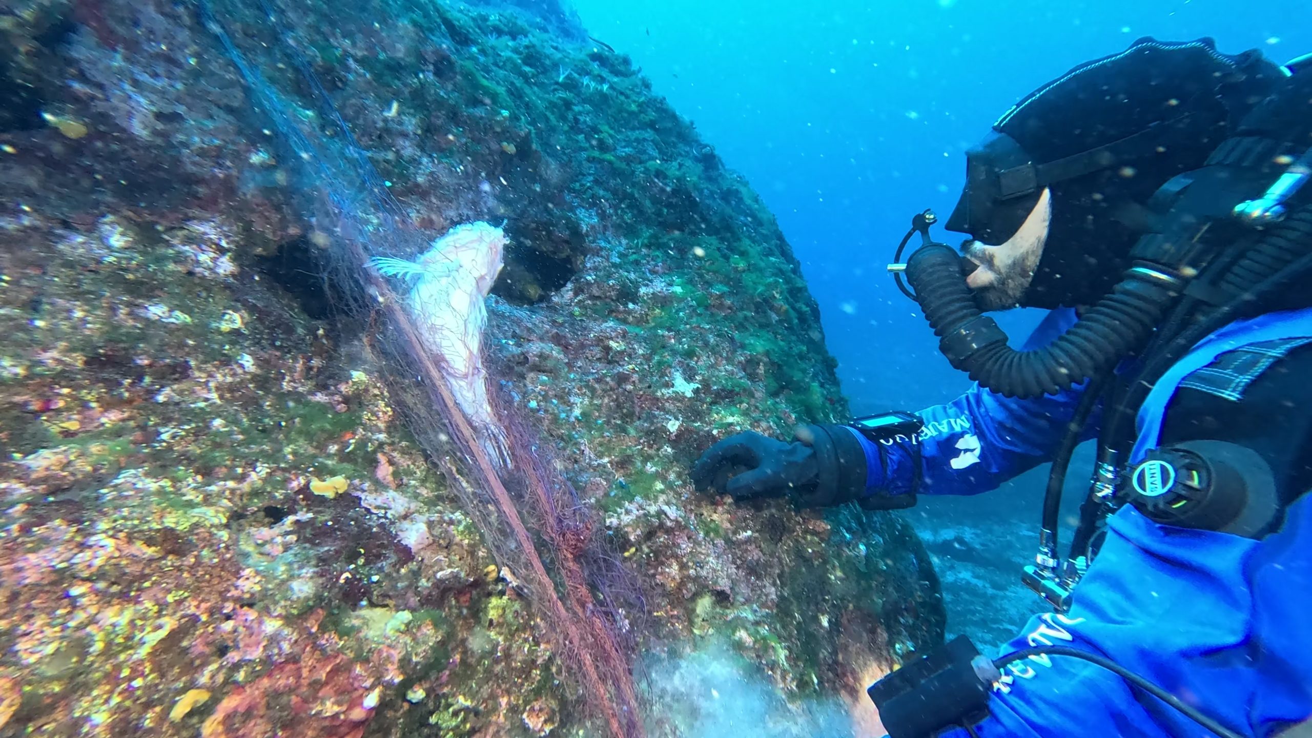 “Mare Mio” by Gin Mare 2025