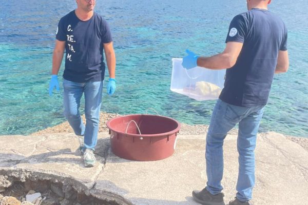 PHOTO 2025 10 14 15 12 02 PHOTO 2025 10 14 15 12 02